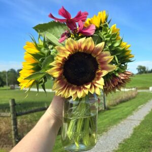 Summer Bouquet Subscription